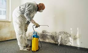 Best Biohazard Mold Removal  in Eastlake, OH