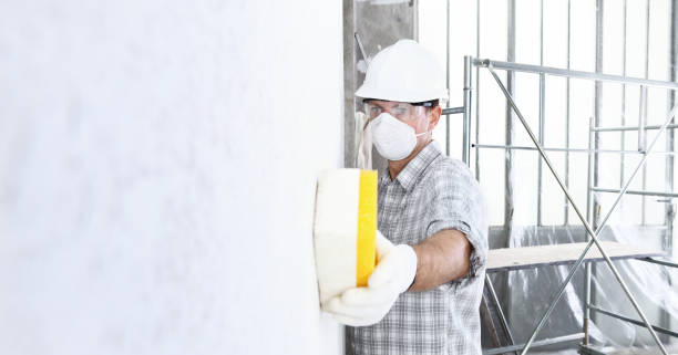 Best Post-Construction Mold Inspection  in Eastlake, OH