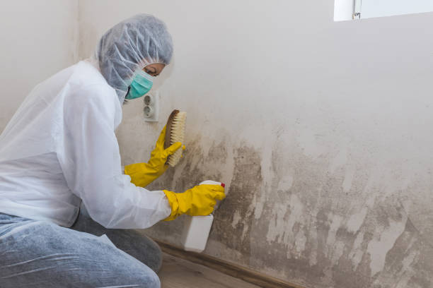 Best Air Quality Testing for Mold Spores  in Eastlake, OH